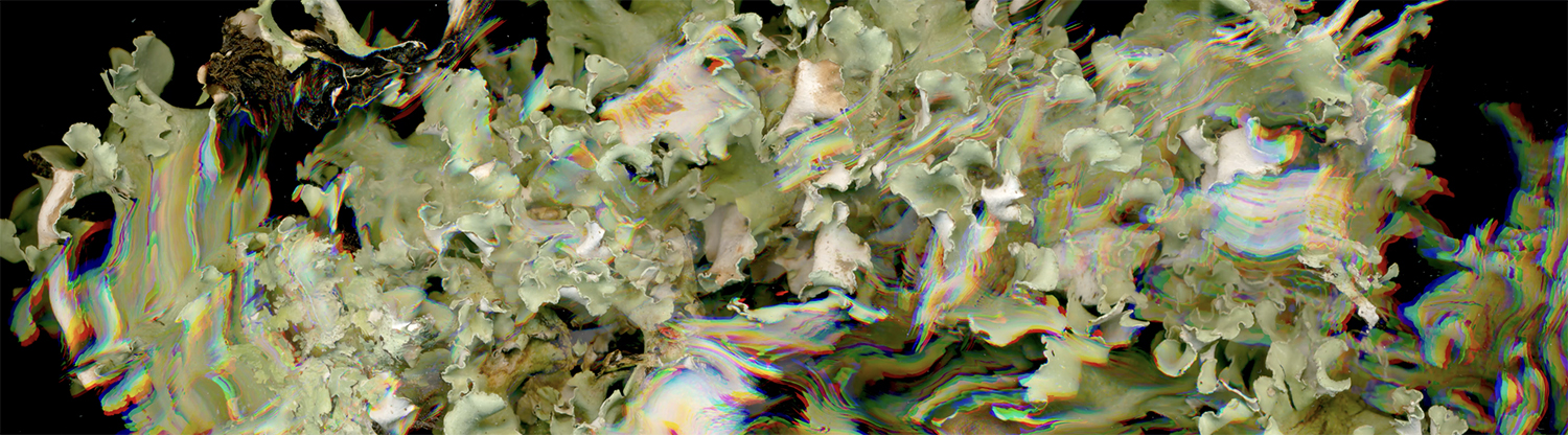 Image de l'oeuvre par Katherine Melançon pour le lobby de SonoLux