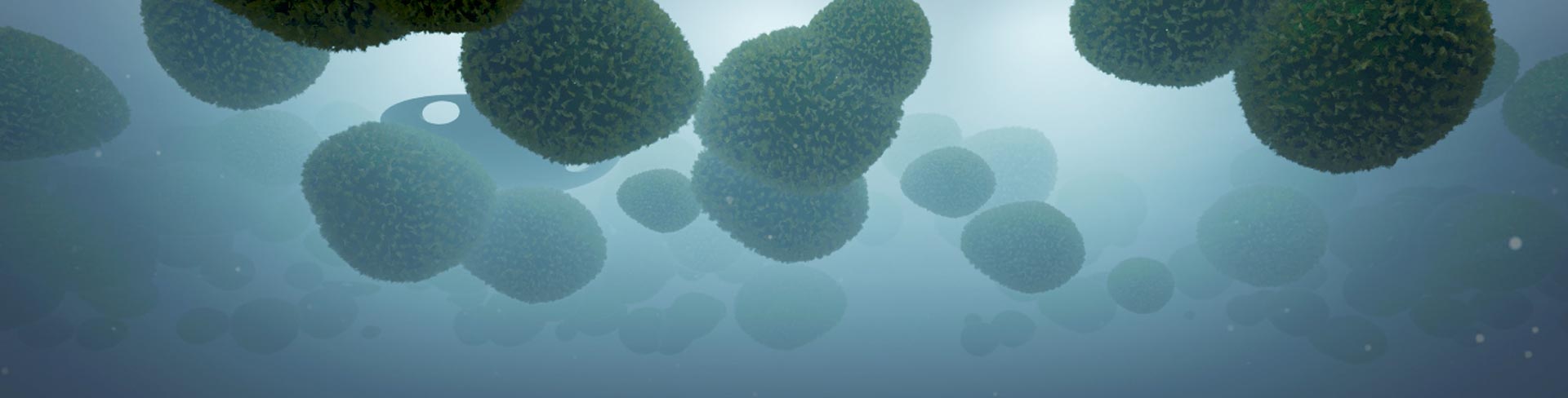 Cosmic code underwater